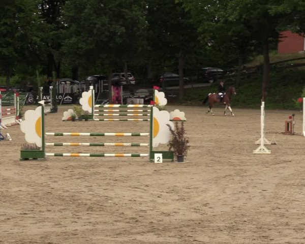 Reitturnier Letmathe 2022