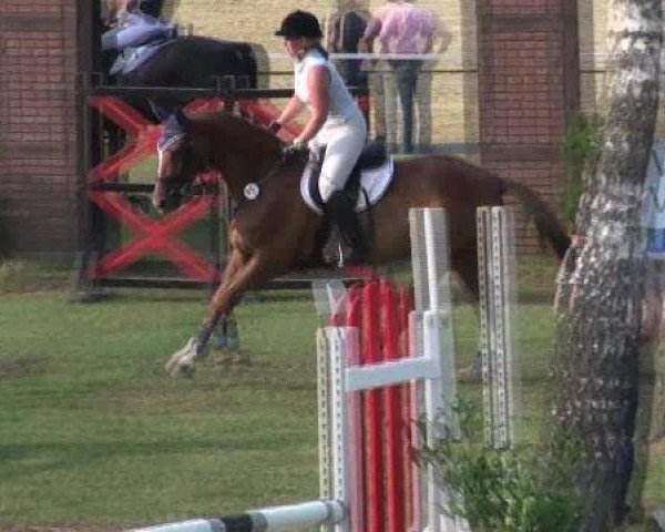 dressage horse Danny Dejavue (Westphalian, 2000, from Danny de Vito 2)