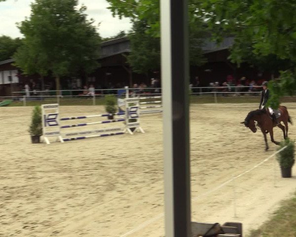 Reitturnier Ascheberg 2022