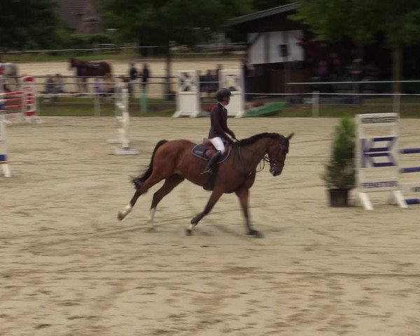 Reitturnier Ascheberg 2022