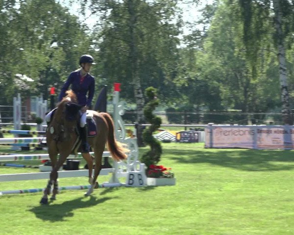 Reitturnier Hille 2022