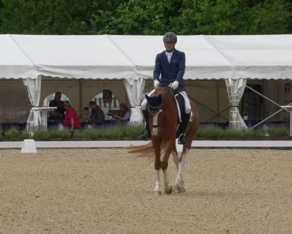 Reitturnier Lindlar - Reitanlage Dückers 2022