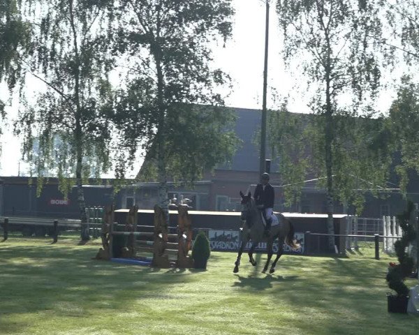 Reitturnier Hille 2022