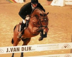 jumper Placido (KWPN (Royal Dutch Sporthorse), 1997, from Animo)