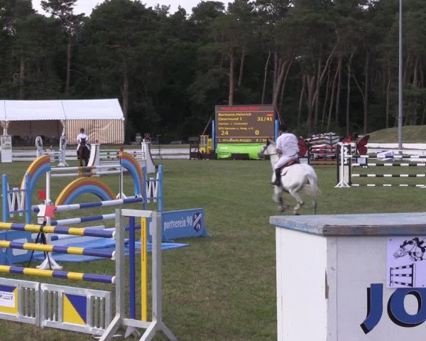 Reitturnier Wörmlitz 2022