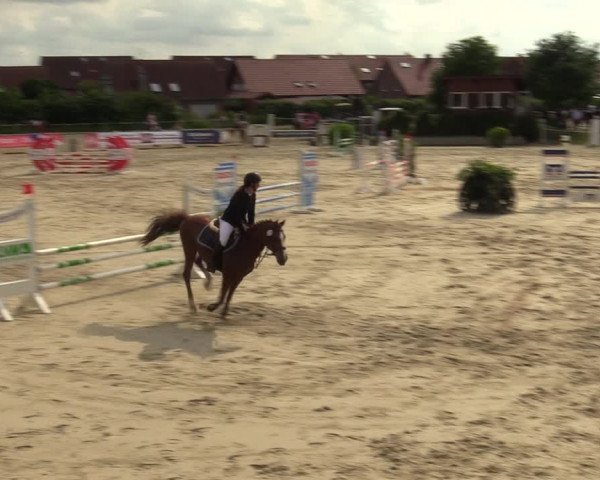 Reitturnier Ascheberg 2022