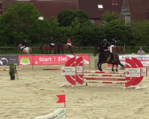 Reitturnier Ascheberg 2022