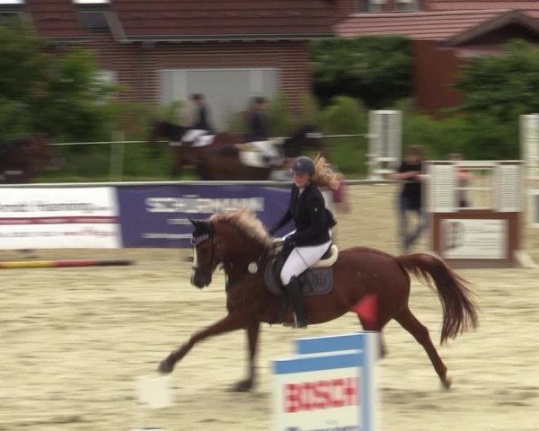 Reitturnier Ascheberg 2022