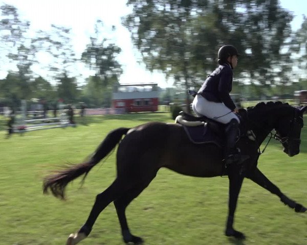 Reitturnier Hille 2022