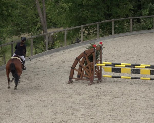 Reitturnier Erkrath - Uhlenhof 2022