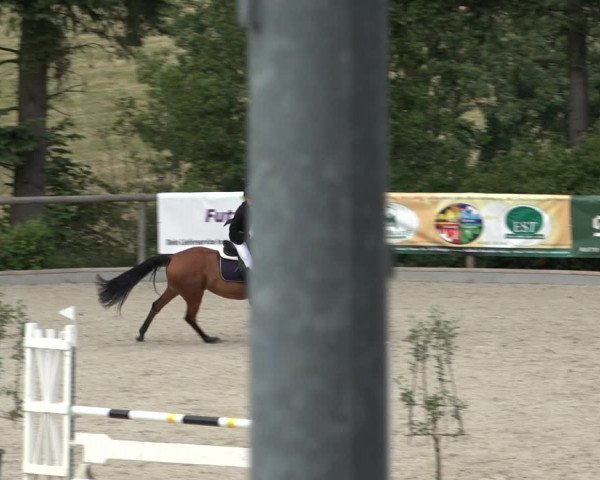 Reitturnier Erkrath - Uhlenhof 2022