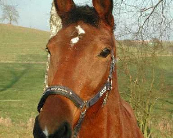 broodmare Wake Up (Württemberger, 1988, from Welt As)