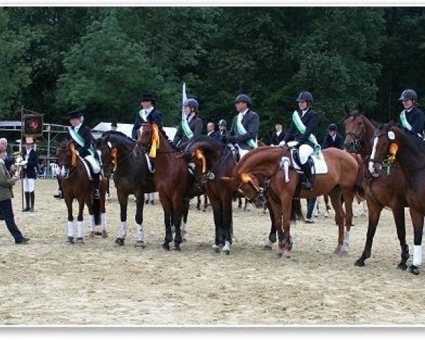Dressurpferd Laurigon (Westfale, 2004, von Lanciano)