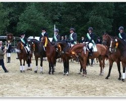 dressage horse Laurigon (Westphalian, 2004, from Lanciano)
