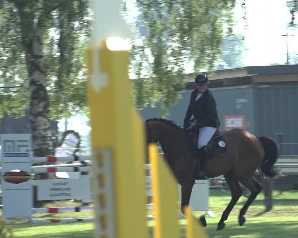 Reitturnier Hille 2022