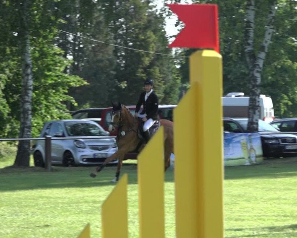 Reitturnier Hille 2022