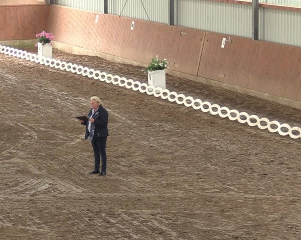 Reitturnier Reken 2022