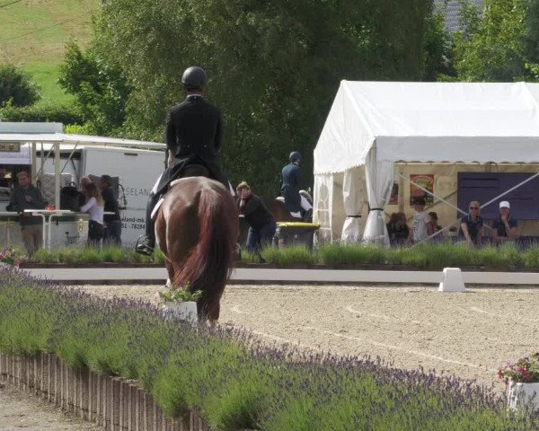 Reitturnier Lindlar - Reitanlage Dückers 2022