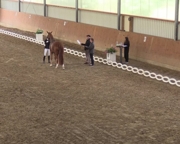 Reitturnier Reken 2022