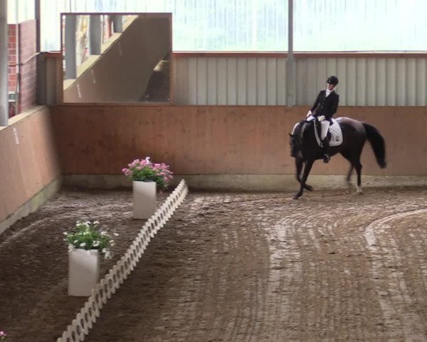 Reitturnier Reken 2022