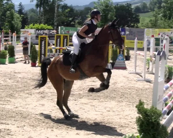 Reitturnier Ruswil 2022
