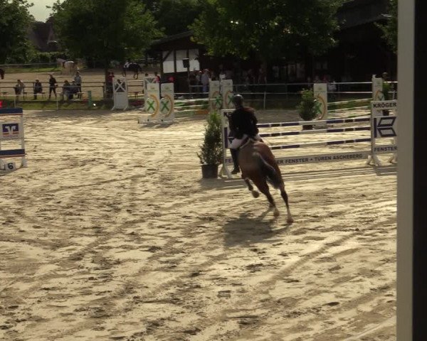 Reitturnier Ascheberg 2022