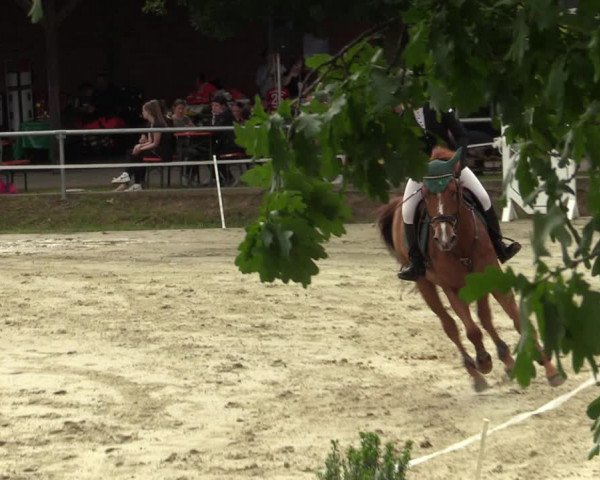 Reitturnier Ascheberg 2022