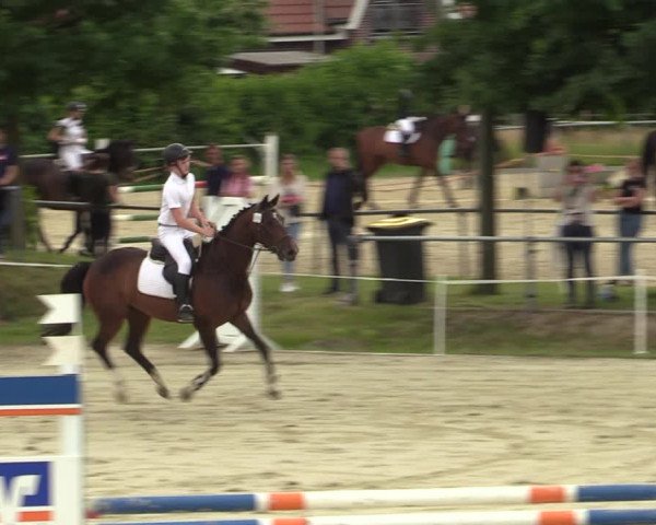 Reitturnier Ascheberg 2022