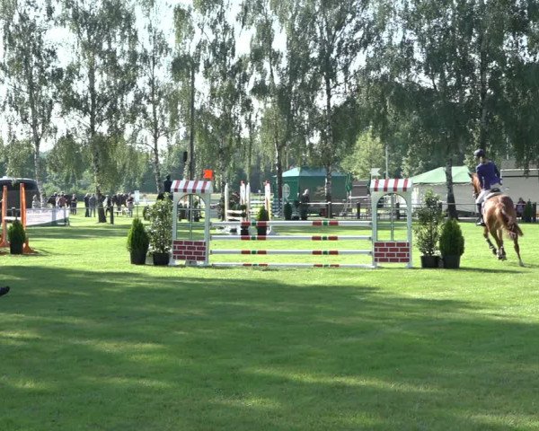 Reitturnier Hille 2022
