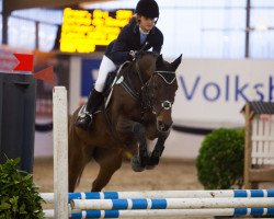 jumper Corona du Coeur (Oldenburg, 2004, from Carry Gold)
