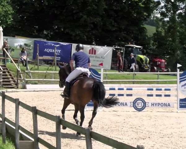 Reitturnier Ruswil 2022