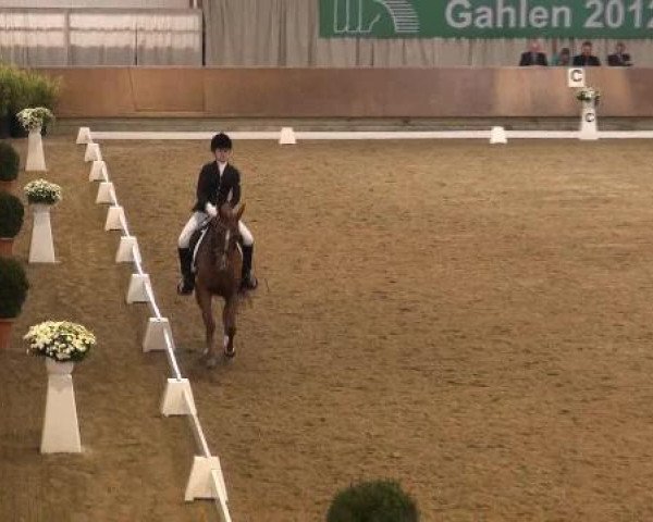 dressage horse Ramiro 277 (unknown, 2002, from Unbekannt)