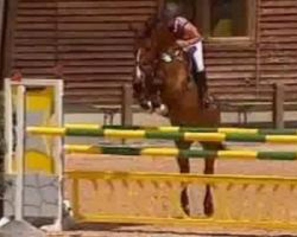 jumper Abbyville (Oldenburg, 2005, from Abke 4)