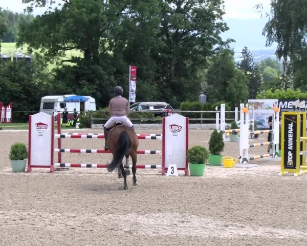 Reitturnier Ruswil 2022