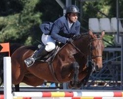 broodmare V Power (Holsteiner, 2005, from Con Air)