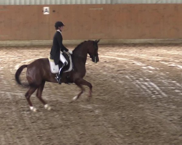 Reitturnier Reken 2022
