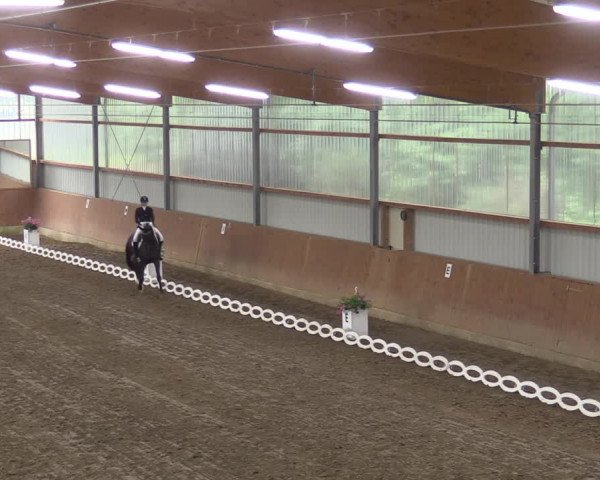 Reitturnier Reken 2022