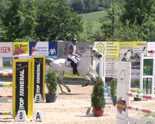 Reitturnier Ruswil 2022