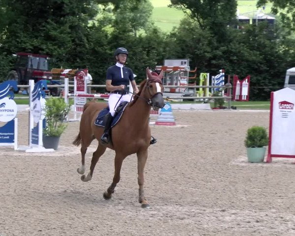 Reitturnier Ruswil 2022