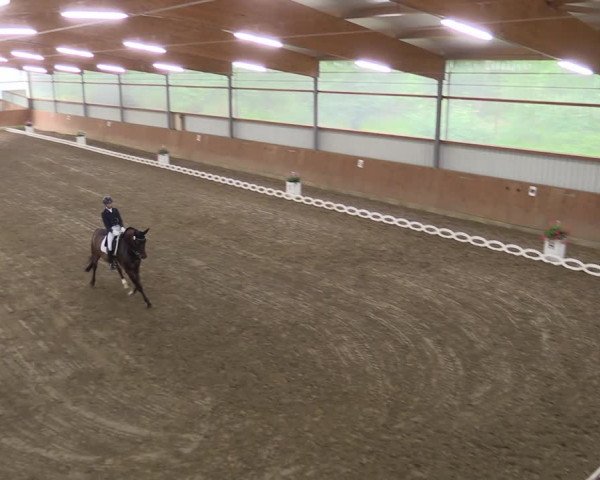 Reitturnier Reken 2022