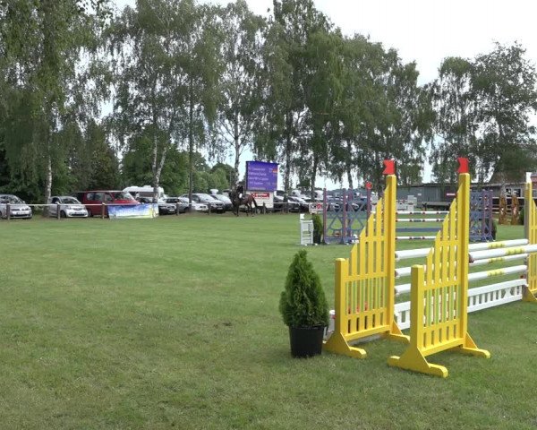 Reitturnier Hille 2022