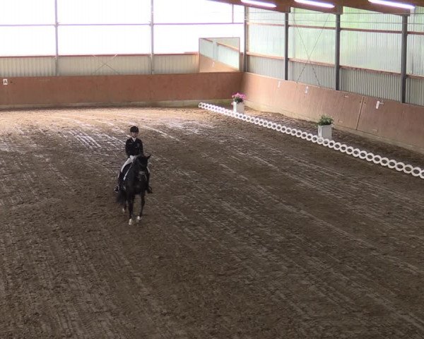 Reitturnier Reken 2022