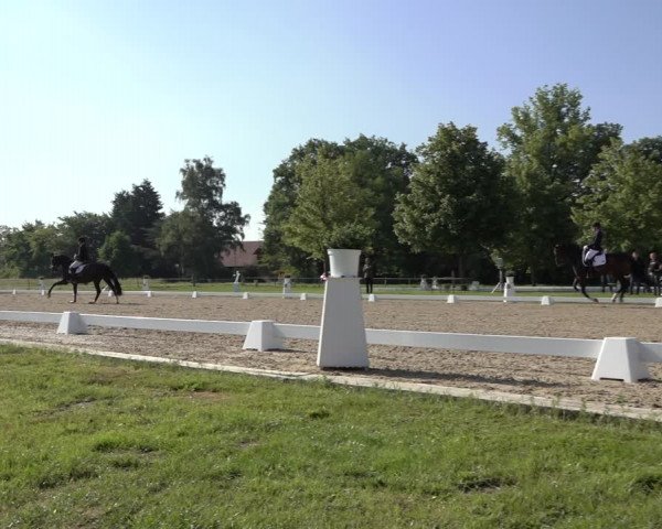 Reitturnier Hille 2022