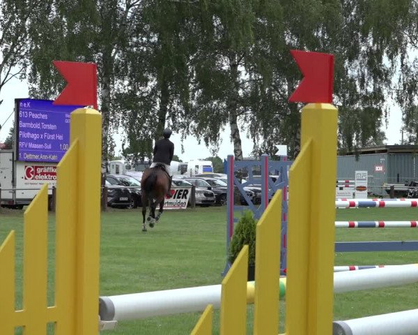 Reitturnier Hille 2022