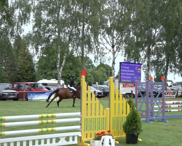 Reitturnier Hille 2022