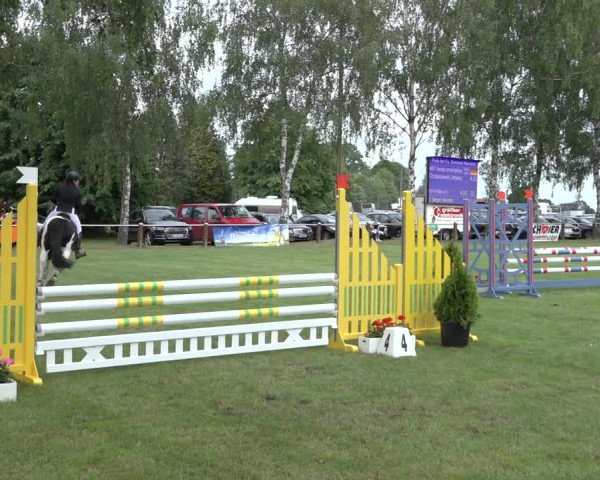 Reitturnier Hille 2022