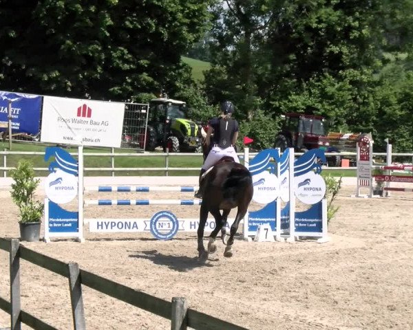 Reitturnier Ruswil 2022