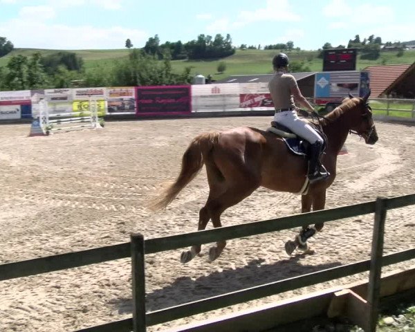 Reitturnier Ruswil 2022