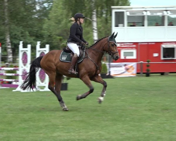 Reitturnier Hille 2022