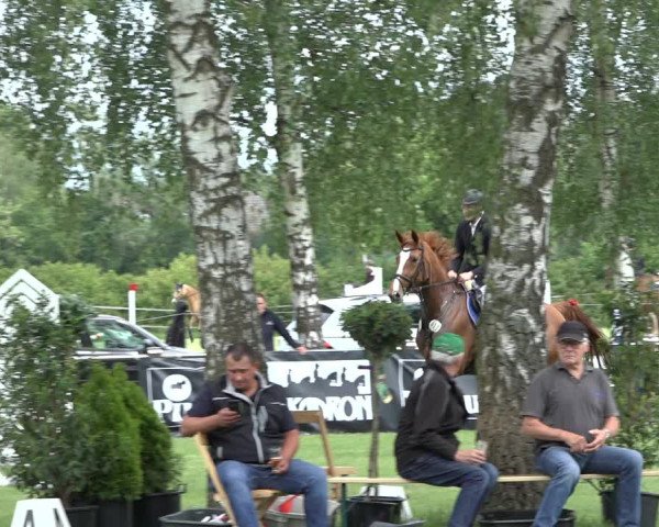 Reitturnier Hille 2022